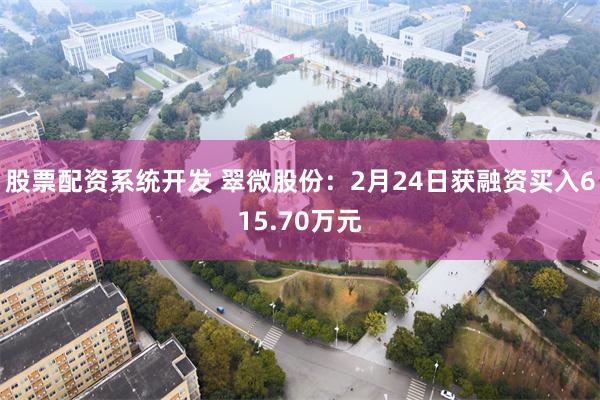 股票配资系统开发 翠微股份：2月24日获融资买入615.70万元