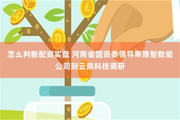 怎么判断配资实盘 河南省国资委领导率豫智数能公司到云鼎科技调研
