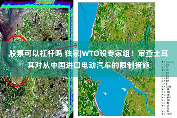 股票可以杠杆吗 独家|WTO设专家组！审查土耳其对从中国进口电动汽车的限制措施