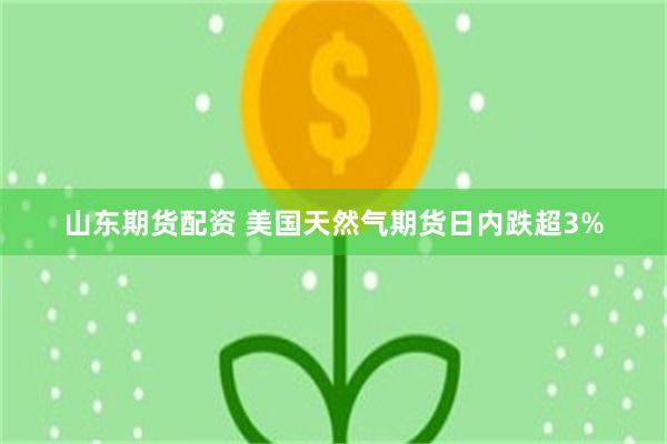 山东期货配资 美国天然气期货日内跌超3%