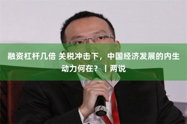 融资杠杆几倍 关税冲击下,中国经济发展的内生动力何在?丨两说