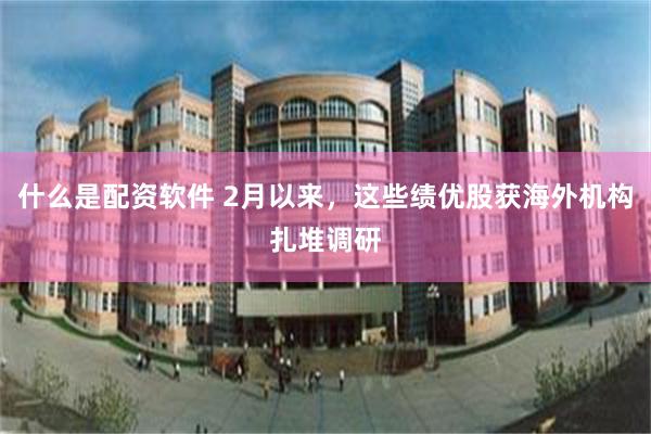 什么是配资软件 2月以来，这些绩优股获海外机构扎堆调研
