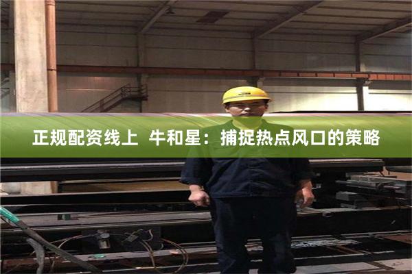 正规配资线上  牛和星：捕捉热点风口的策略