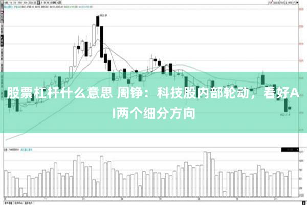 股票杠杆什么意思 周铮:科技股内部轮动,看好AI两个细分方向