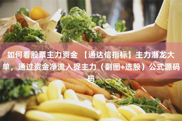 如何看股票主力资金 【通达信指标】主力潜龙大单，通过资金净流入捉主力（副图+选股）公式源码