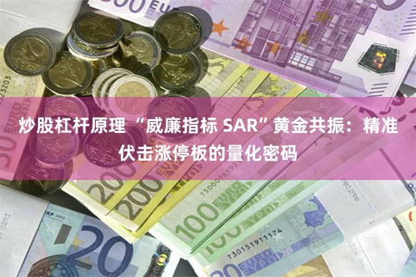 炒股杠杆原理 “威廉指标 SAR”黄金共振:精准伏击涨停板的量化密码