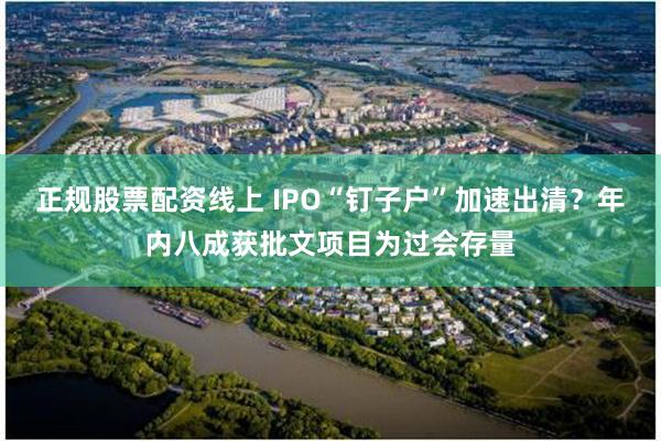 正规股票配资线上 IPO“钉子户”加速出清？年内八成获批文项目为过会存量