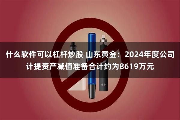 什么软件可以杠杆炒股 山东黄金：2024年度公司计提资产减值准备合计约为8619万元