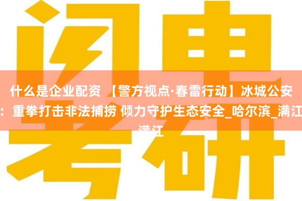 什么是企业配资 【警方视点·春雷行动】冰城公安：重拳打击非法捕捞 倾力守护生态安全_哈尔滨_满江