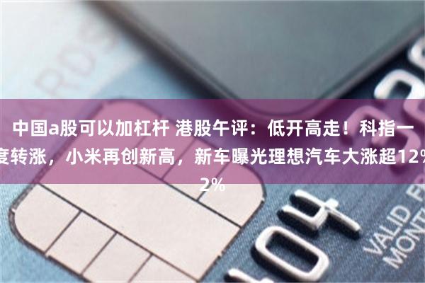 中国a股可以加杠杆 港股午评：低开高走！科指一度转涨，小米再创新高，新车曝光理想汽车大涨超12%