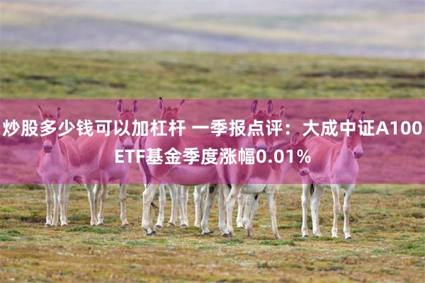 炒股多少钱可以加杠杆 一季报点评：大成中证A100ETF基金季度涨幅0.01%
