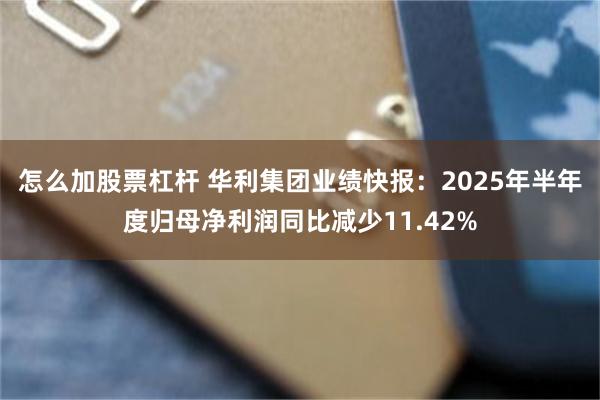 怎么加股票杠杆 华利集团业绩快报：2025年半年度归母净利润同比减少11.42%