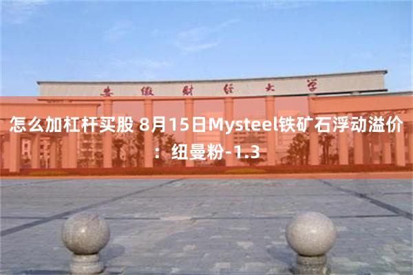 怎么加杠杆买股 8月15日Mysteel铁矿石浮动溢价：纽曼粉-1.3