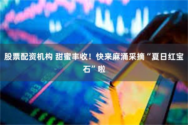 股票配资机构 甜蜜丰收！快来麻涌采摘“夏日红宝石”啦