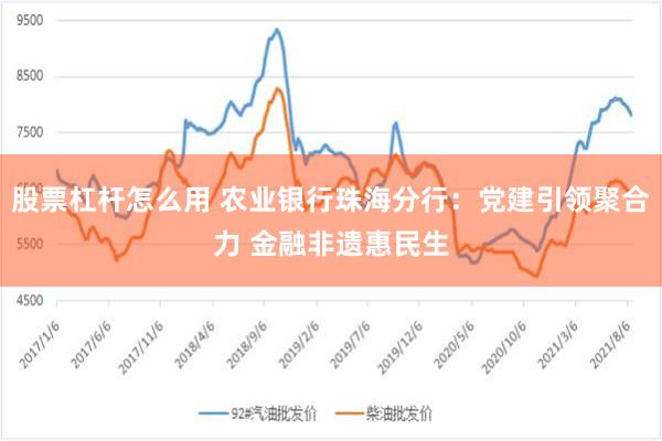 股票杠杆怎么用 农业银行珠海分行：党建引领聚合力 金融非遗惠民生