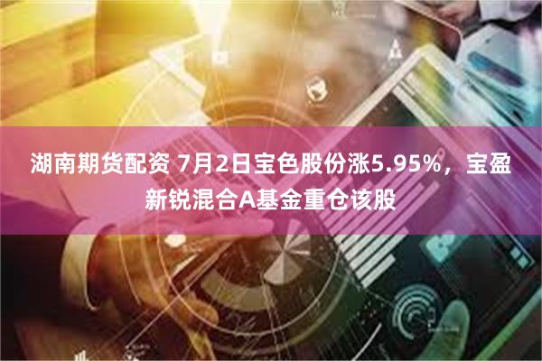 湖南期货配资 7月2日宝色股份涨5.95%，宝盈新锐混合A基金重仓该股
