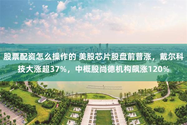 股票配资怎么操作的 美股芯片股盘前普涨，戴尔科技大涨超37%，中概股尚德机构飙涨120%