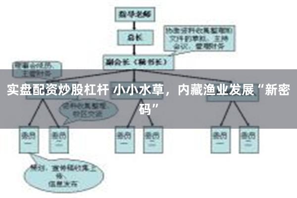 实盘配资炒股杠杆 小小水草，内藏渔业发展“新密码”