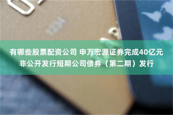 有哪些股票配资公司 申万宏源证券完成40亿元非公开发行短期公司债券（第二期）发行