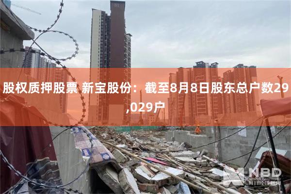 股权质押股票 新宝股份：截至8月8日股东总户数29,029户