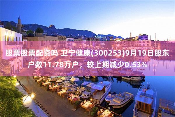 股票股票配资吗 卫宁健康(300253)9月19日股东户数11.78万户，较上期减少0.53%