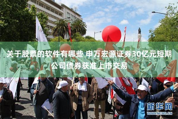 关于股票的软件有哪些 申万宏源证券30亿元短期公司债券获准上市交易