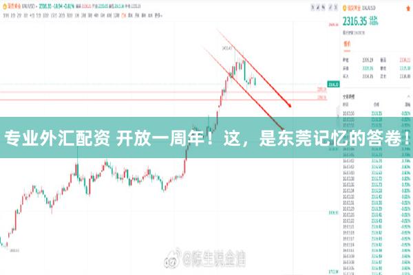 专业外汇配资 开放一周年！这，是东莞记忆的答卷！
