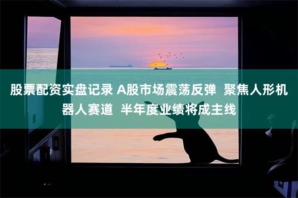 股票配资实盘记录 A股市场震荡反弹  聚焦人形机器人赛道  半年度业绩将成主线
