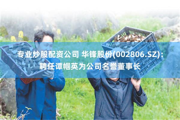 专业炒股配资公司 华锋股份(002806.SZ)：聘任谭帼英为公司名誉董事长