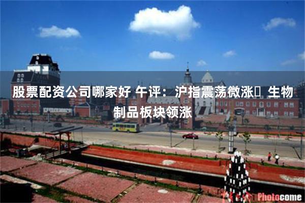股票配资公司哪家好 午评:沪指震荡微涨 生物制品板块领涨