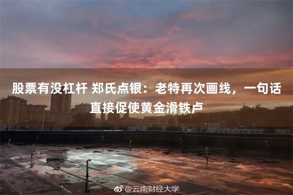 股票有没杠杆 郑氏点银:老特再次画线,一句话直接促使黄金滑铁卢