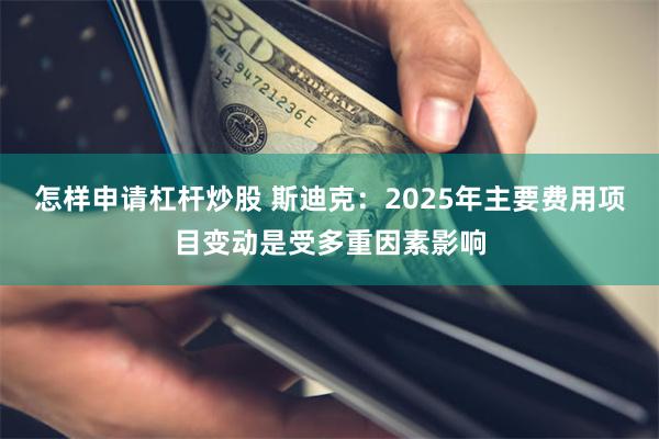 怎样申请杠杆炒股 斯迪克：2025年主要费用项目变动是受多重因素影响
