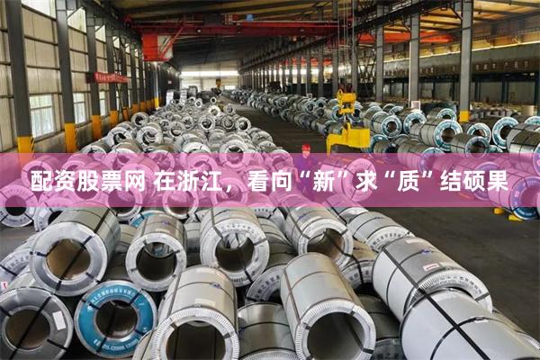 配资股票网 在浙江，看向“新”求“质”结硕果