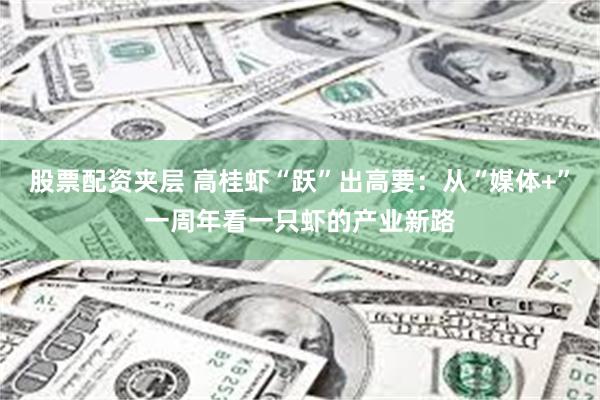股票配资夹层 高桂虾“跃”出高要：从“媒体+”一周年看一只虾的产业新路